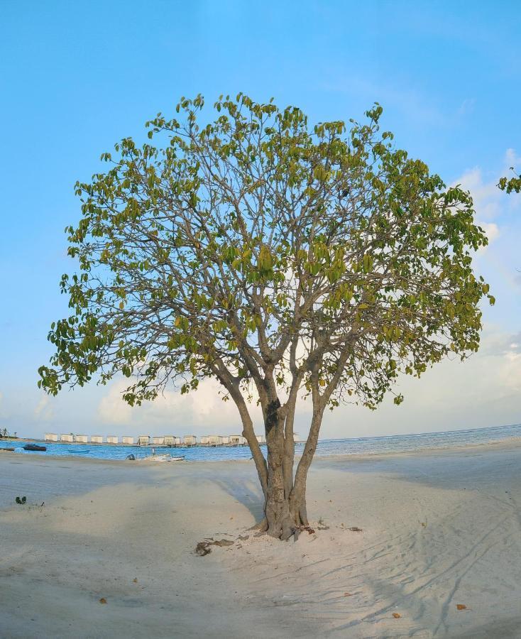 Отель La Isla Tropica Гурайдо Экстерьер фото